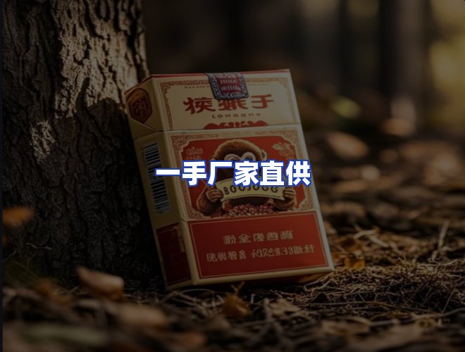 专业团队